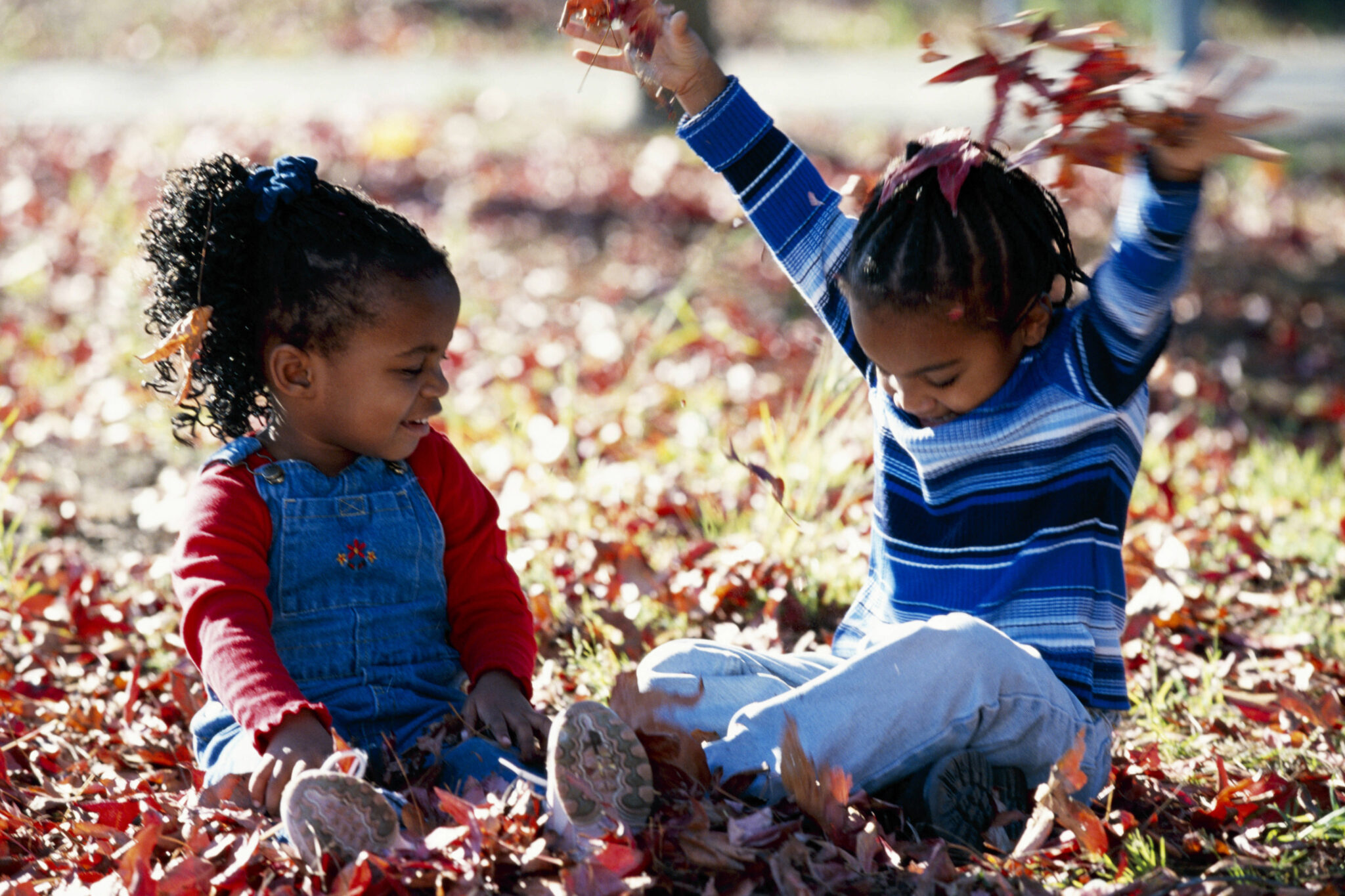 Two children playing with leaves
